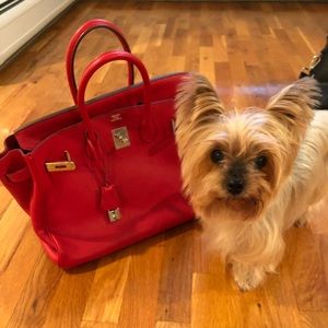 Meet your Posher, Limei